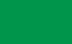 RGB color: 00954b, gif 