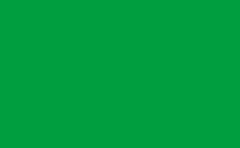 RGB color : 009e3f, gif 