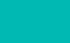 RGB color: 00b9b3, gif 