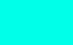 RGB color: 00ffe9, gif 