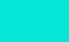 RGB color: 06e7d8, gif 