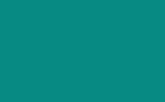 RGB color : 078a83, gif 