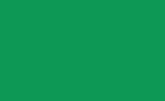 RGB color : 0e9856, gif 