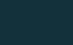 RGB color : 13313b, gif 