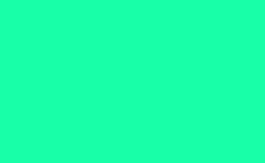 RGB color : 18ffa8, gif 