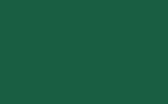 RGB color : 195d43, gif 