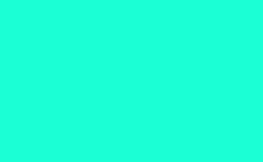 RGB color : 1bffd5, gif 