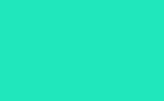 RGB color : 20e7bc, gif 