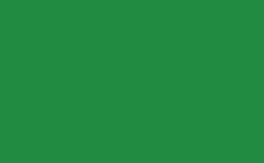 RGB color: 218b41, gif 