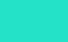 RGB color : 24e2c8, gif 