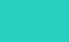 RGB color : 25d0c0, gif 