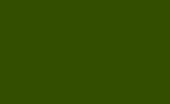 RGB color : 344e00, gif 