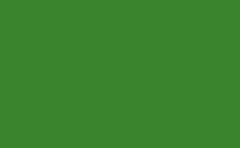 RGB color : 3a842d, gif 