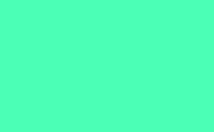 RGB color : 4bffb6, gif 