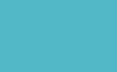 RGB color : 52b7c7, gif 