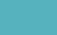 RGB color: 56b2be, gif 