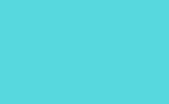 RGB color: 58d7dc, gif 