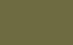 RGB color : 6e6b41, gif 