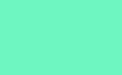 RGB color : 6ef6c1, gif 