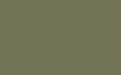 RGB color: 717555, gif 