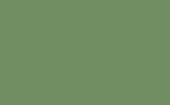 RGB color : 718e62, gif 