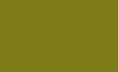 RGB color : 7e7b19, gif 