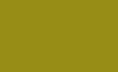 RGB color : 978d16, gif 