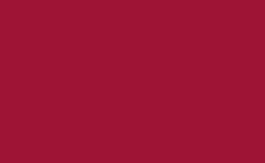 RGB color: 9c1633, gif 