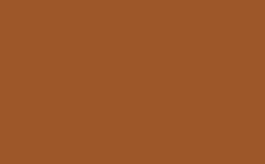 RGB color : 9d5729, gif 