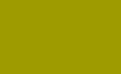 RGB color : 9e9b00, gif 