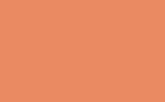 RGB color : e58b5d, gif 