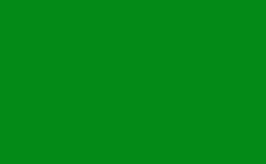 RGB farbe: 038a17, png 