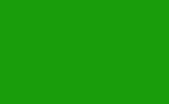 RGB farbe: 1a9d0a, png 
