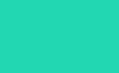 RGB 颜色 : 22d7b2, png 