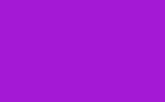 RGB farbe: a419d5, png 