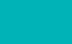 RGB 颜色: 00b3b6, gif 