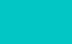 RGB farbe : 02c6c5, gif 