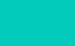 RGB 颜色: 02cbbc, gif 