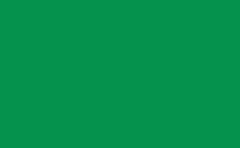 RGB 顏色 : 05924d, gif 