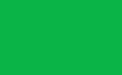 RGB farbe: 0ab447, gif 