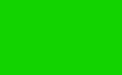 RGB color : 12d300, gif 