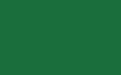 RGB color: 1a6e3c, gif 