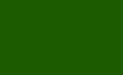 RGB farbe: 1c5b00, gif 