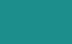 RGB 颜色: 1c8e8c, gif 