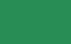 RGB color : 278d54, gif 