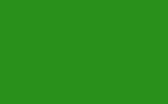 RGB color : 278f1b, gif 