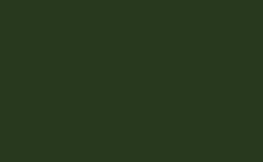 RGB color : 28391e, gif 