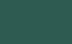 RGB color: 2e5b51, gif 