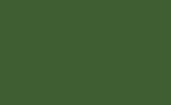 RGB color : 3e6031, gif 