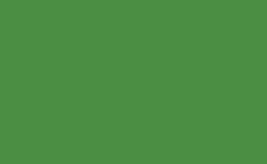 RGB farbe: 4b8e43, gif 